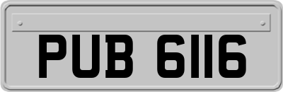 PUB6116