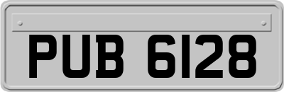 PUB6128
