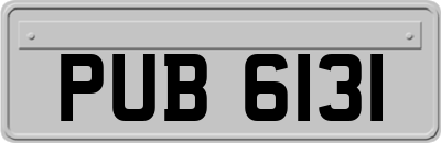 PUB6131