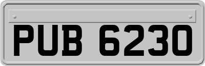 PUB6230