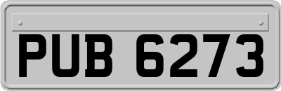 PUB6273