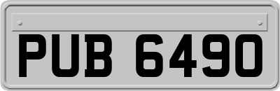 PUB6490