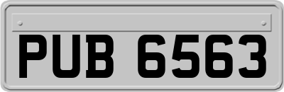 PUB6563
