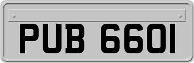 PUB6601