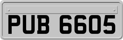 PUB6605