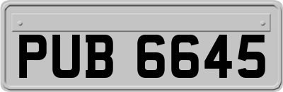 PUB6645
