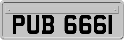 PUB6661