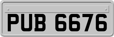 PUB6676