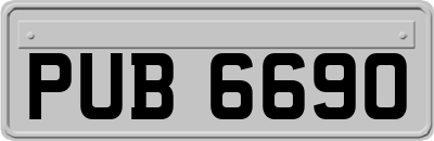 PUB6690