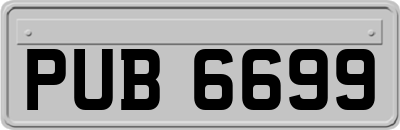 PUB6699
