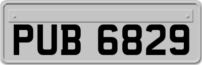 PUB6829