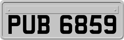 PUB6859