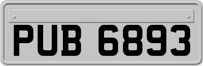 PUB6893