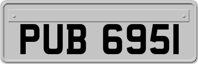 PUB6951