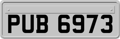 PUB6973