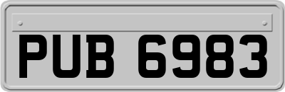 PUB6983
