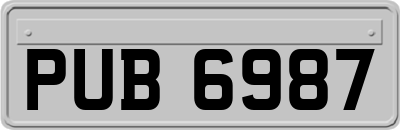 PUB6987