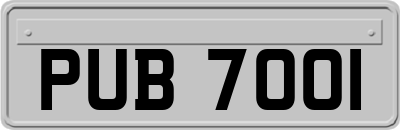 PUB7001