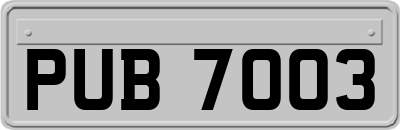 PUB7003