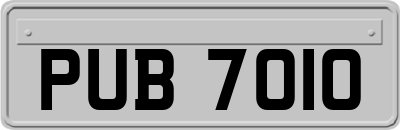 PUB7010