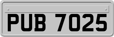 PUB7025