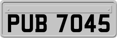 PUB7045