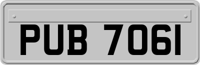 PUB7061