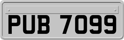 PUB7099