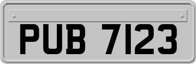 PUB7123