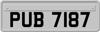 PUB7187