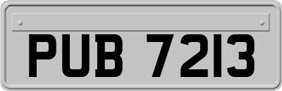PUB7213