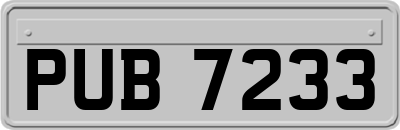 PUB7233