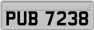 PUB7238