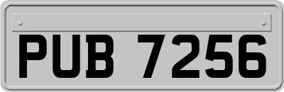PUB7256