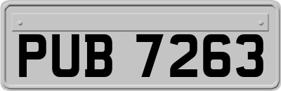 PUB7263