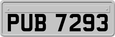 PUB7293