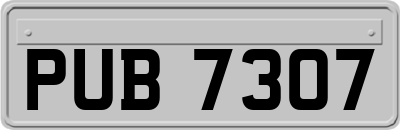 PUB7307