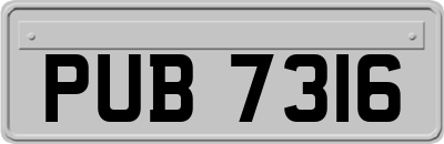 PUB7316