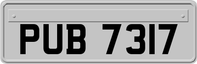 PUB7317