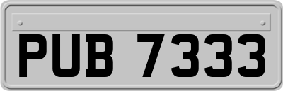 PUB7333