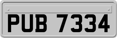 PUB7334