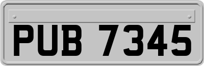 PUB7345