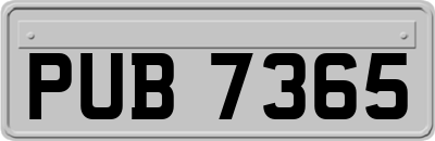 PUB7365