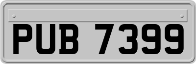 PUB7399