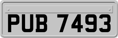 PUB7493