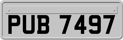 PUB7497