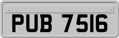 PUB7516