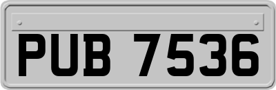 PUB7536