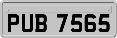PUB7565