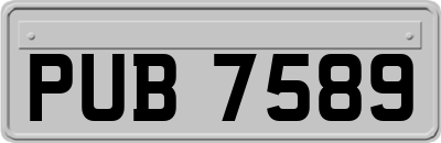 PUB7589